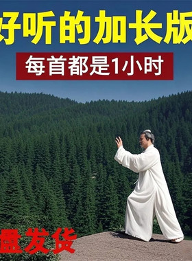 太极纯音乐U盘娥嫚墨缘古琴好听