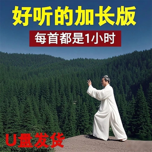 太极加长纯音乐U盘娥嫚墨缘古琴好听内存卡1小时晨练太极拳MP3