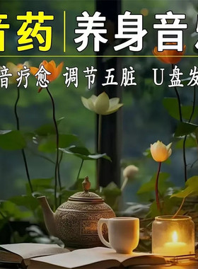 静心养身轻音乐U盘五音疗愈