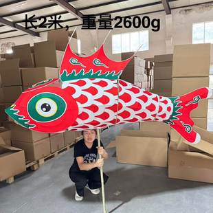 两米巡游鱼灯手持可亮灯可摆动中秋国庆节庆手工制作古典中式传统