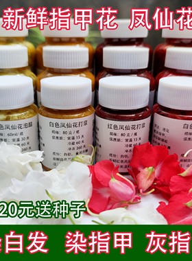 新鲜凤仙花染指甲治灰指甲指甲草花鲜花瓣红白色泡醋染发染甲泡酒