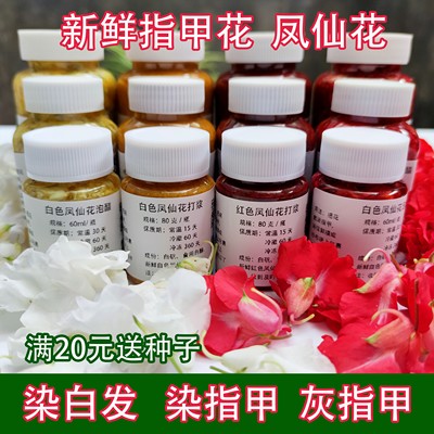 新鲜凤仙花指甲花染指甲治灰指甲