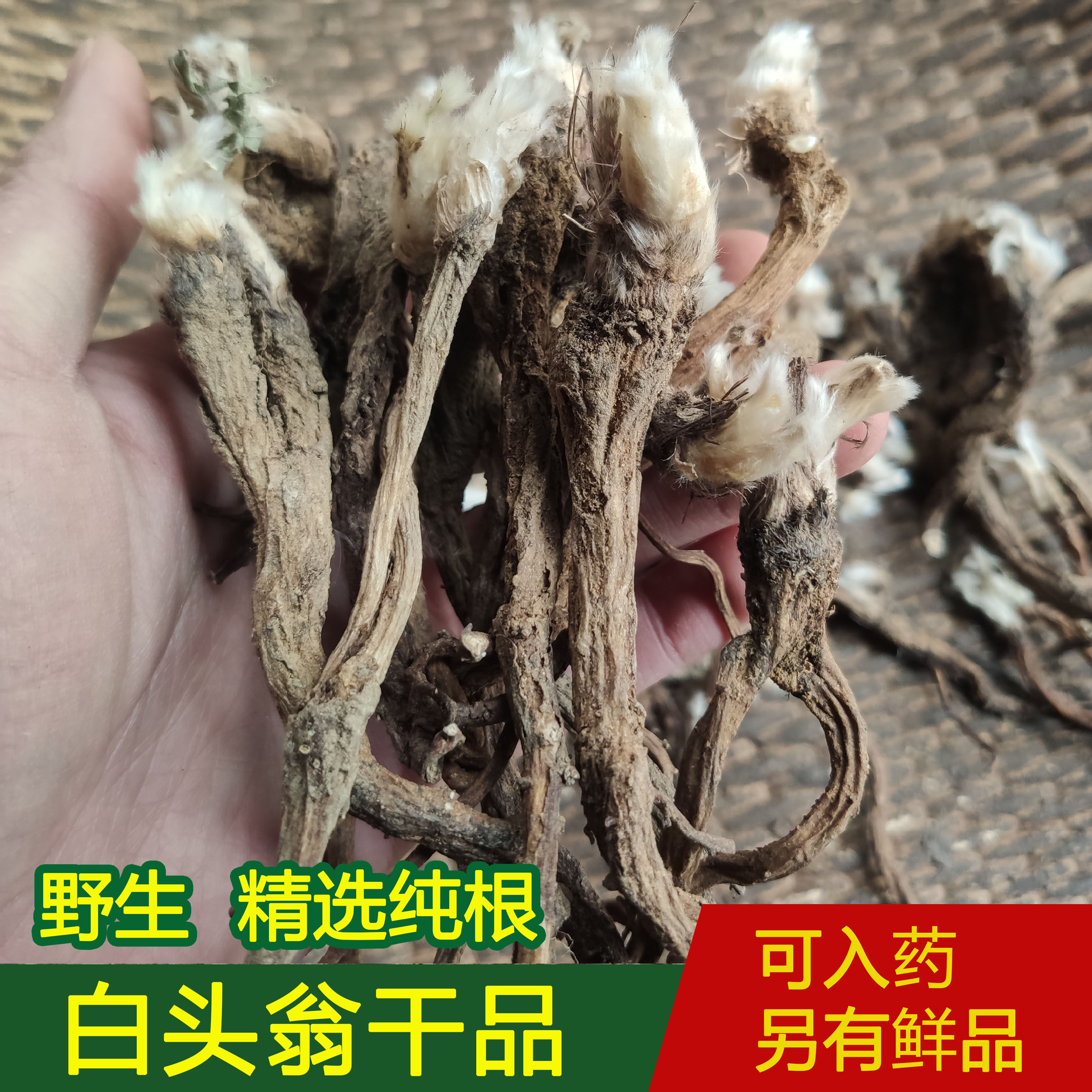 深山采挖白头翁干品纯根现挖整棵野丈人白头草白头翁根天然中药材