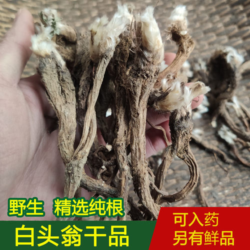 野生白头翁干品纯根现挖新鲜全棵