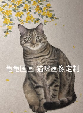 纯手绘猫咪画像国画水彩风格