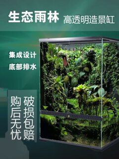 雨林缸金晶超白玻璃水陆缸爬虫箱热带植物生态造景缸尺寸可定制