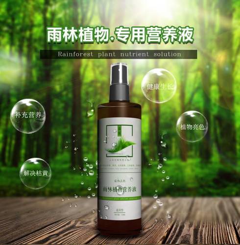 雨林缸植物苔藓微景观营养液包邮