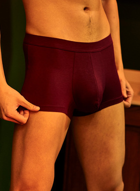 歌帝专柜同款 莫代尔 男士内裤短裤平角裤 GDB8511