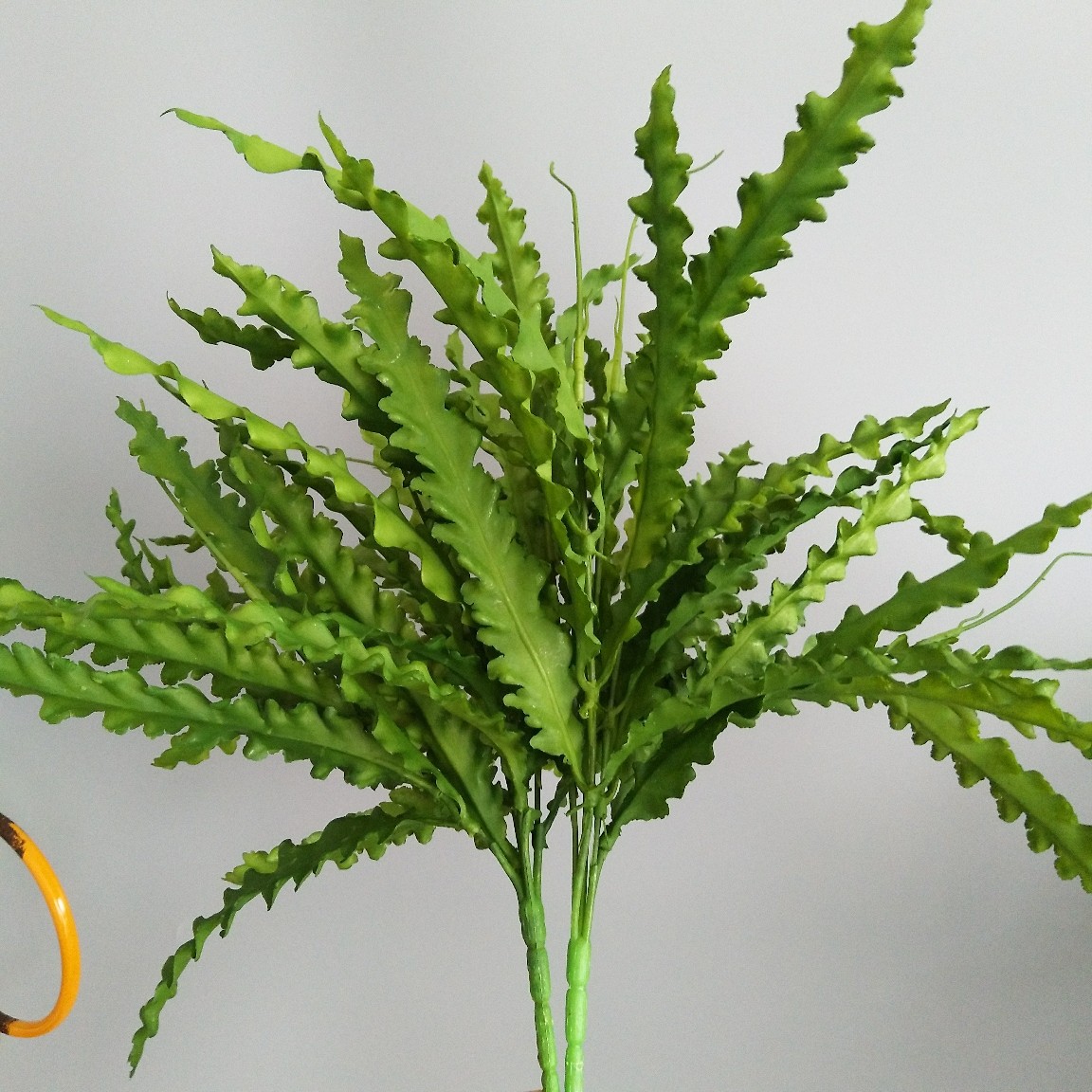 把束草把束叶海带草海马蔺北欧深紫家居样板间装饰植物墙插花叶材