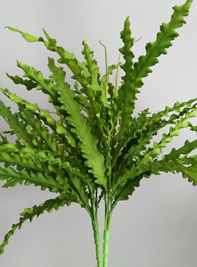 把束草把束叶海带草海马蔺北欧深紫家居样板间装饰植物墙插花叶材