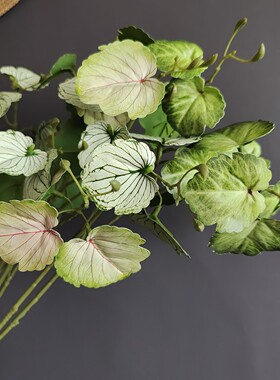 仿真植物叶材2叉海棠叶 境外货源北欧家居样板间婚庆设计装饰批发