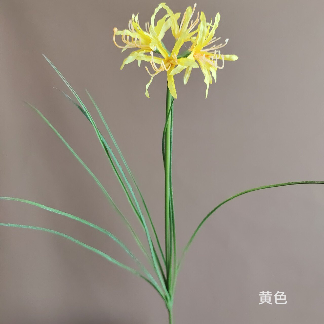 仿真带叶彼岸花曼珠沙华曼陀罗华家居影棚直播间装饰二次拍照道具