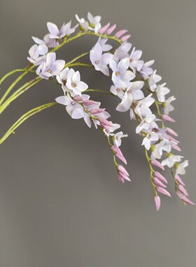 手感香雪兰烟雨兰苍兰四季兰 奶油风家居样板间婚庆装饰摄影道具