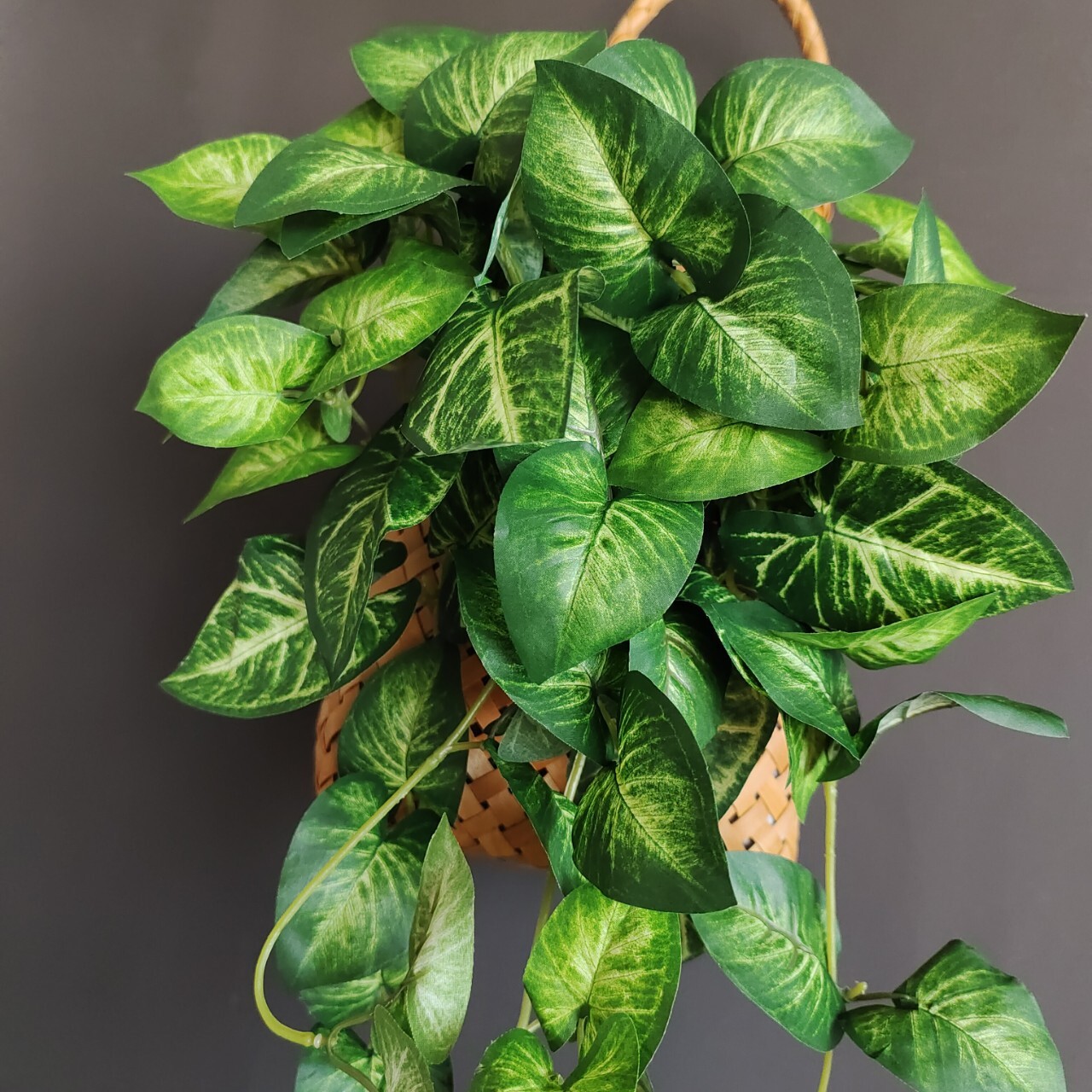 仿真亚马逊绿植盆栽芋头叶垂吊家居装饰壁橱悬挂盆栽垂条绿植批发