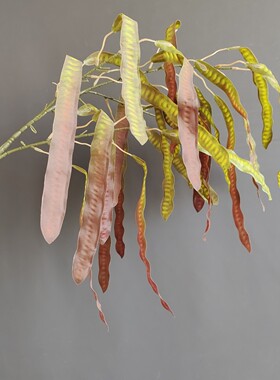 仿真豌豆荚垂坠感花艺扁豆花合欢豆荚家居婚庆布景装饰材摄影道具