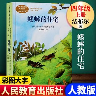 走月亮玩月亮爬天都峰蟋蟀 正版 课文作家作品系列四年级上册全套4册课外书儿童读物故事书 人教版 住宅陀螺 书籍