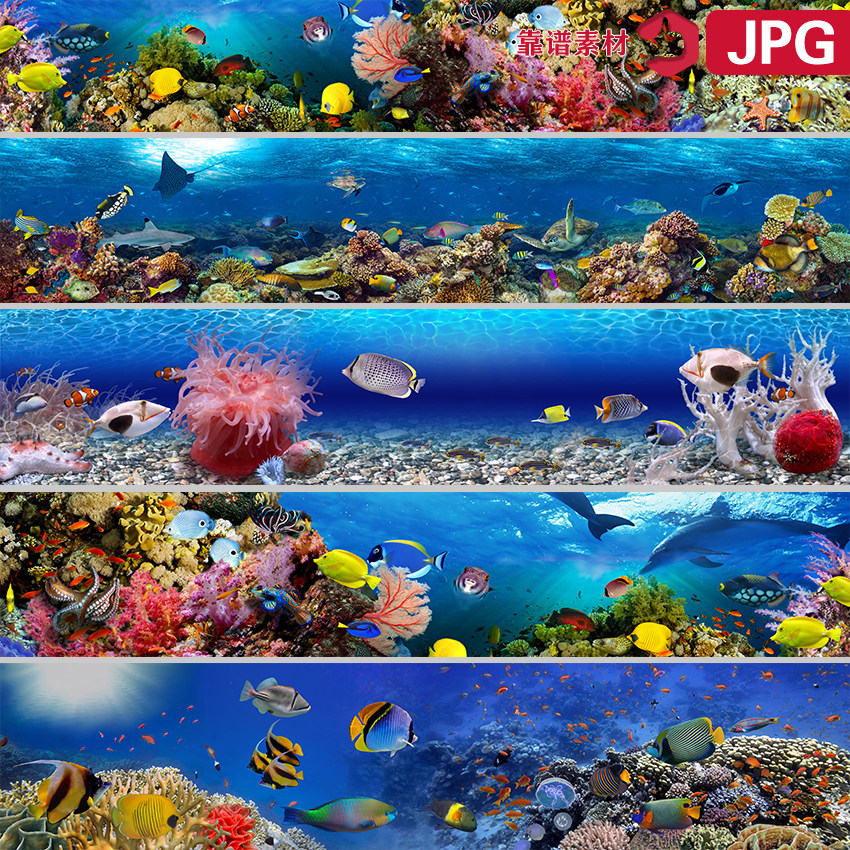巨幅宽幅长幅海底世界海洋生物鱼群高清装饰画jpg设计素材