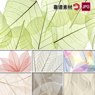 透明的树叶叶脉叶子背景墙纸地毯装饰画背景图片设计素材