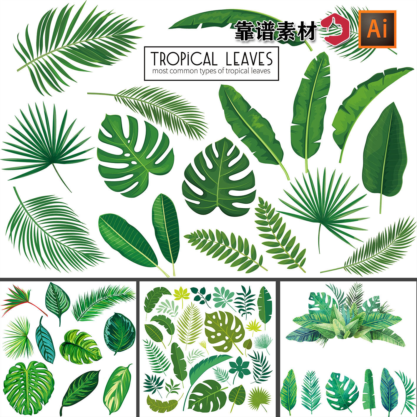 夏季热带雨林棕榈树鲜花植物绿色树叶子ai矢量设计素材