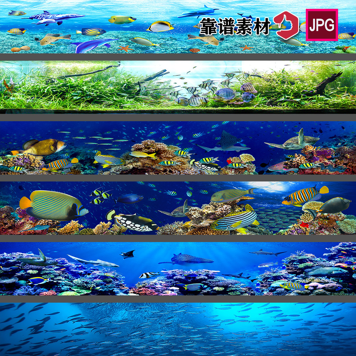 横幅巨幅宽屏长条海底世界海洋海草蓝色海底鱼群鱼缸背景图片素材
