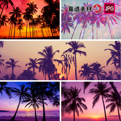海边阳光夕阳美景椰树林夏天度假风景高清背景图片设计素材