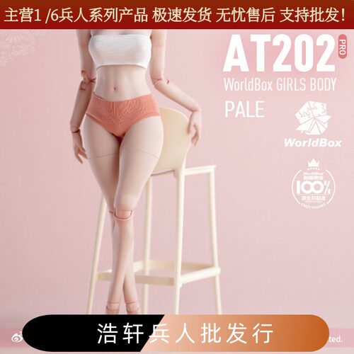 Worldbox1/6关节女素体穿衣