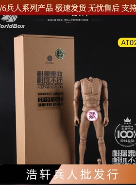 WorldBox 1/6男兵人 耐操素体 带脖子头雕通用版 AT020 关节可动