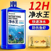 疯狂水草净水王一滴清净水剂鱼缸专用水质净化鱼塘清水剂鱼乐宝
