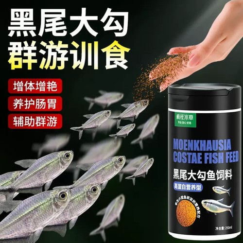 疯狂水草黑尾大勾鱼饲料群游训食小型鱼鱼食孔雀鱼粮食料批发