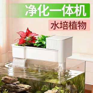 过滤器 疯狂水草鱼草共生多层过滤器干湿分离净水培菌增氧壁挂式