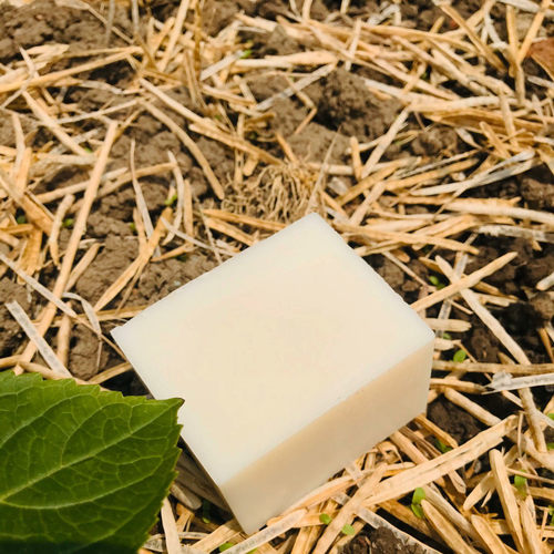 内衣皂家事皂抗菌洗衣茶树尤加利