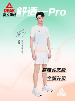 匹克/PEAK男女通用态极