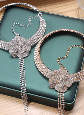 欧美风夸张花朵流苏水钻项链女新娘婚礼宴会百搭个性项圈女高级感