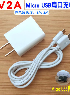 蓝魔平板5V2A扁头电源适配器