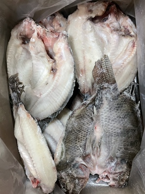 开背鲷鱼片开背罗非鱼片带皮罗非鱼 烤鱼饭酒店冷冻食材整箱20斤