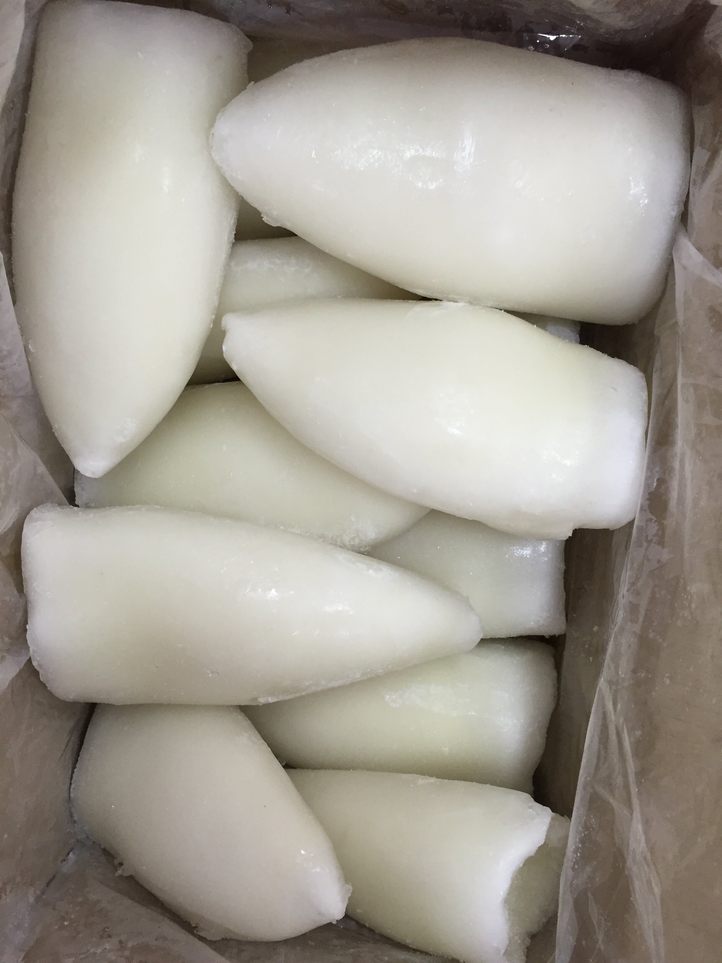 目鱼筒 豆捞专用墨鱼滑 一箱带冰20斤净重17斤左右 墨鱼筒