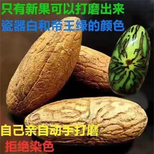 精品果千眼菩提天然老果新果原籽