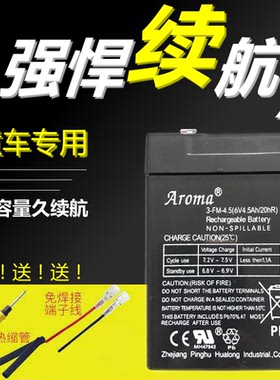 Aroma6V4.0AH3-FM-4.0电子秤台称耀华地磅吊秤铅酸蓄电池童车电瓶