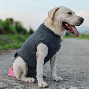 包肚裤纸样保暖绝育服术后猫狗背心式护肚衣大中小猫狗服装包肚子