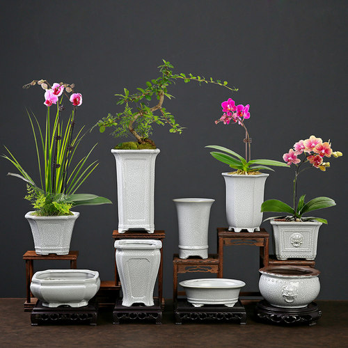 白色汝窑古典复古中式桌面兰花飘枝绿植手工洗墨专用高温陶瓷花盆