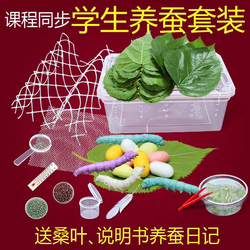 蚕宝宝学生养蚕套装活体新鲜桑叶蚕卵套装工具箱太空舱饲养盒包活