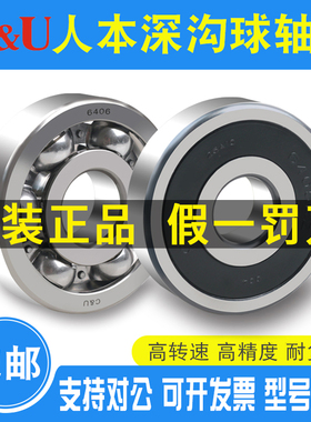 人本轴承6403 6404 6405 6406 6407 6408 6409 6410 6411 6412RZ
