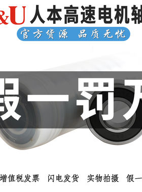 人本高速电机轴承6207 6208 6209 6210 6211 6212 6213 6214RZ RS