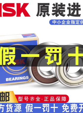 NSK进口轴承大全6200 6201 6202 6203 6204 6205 6206ZZ DDU CMC3