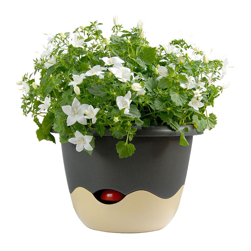 捷克进口Plastia自吸水拼色花盆园艺盆大口径树脂多肉盆绿植花盆,鲜花速递/花卉仿真/绿植园艺,花盆,淘宝优惠券,粉丝福利购,淘宝优惠卷