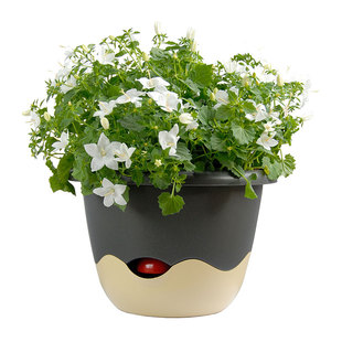 捷克进口Plastia自吸水拼色花盆园艺盆大口径树脂多肉盆绿植花盆