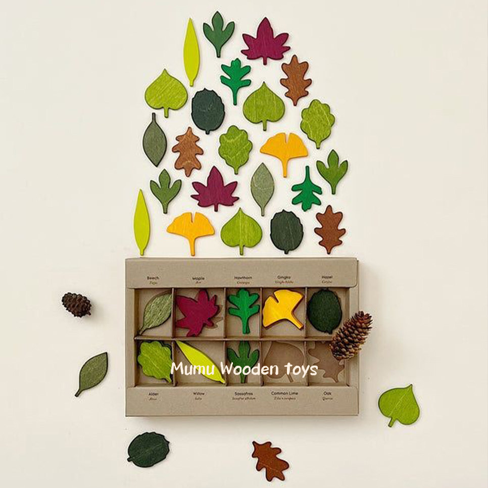 跨境爆款彩色实木树叶标本幼儿园科学色彩认知玩具拼图分拣玩具