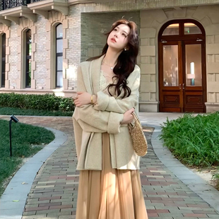 外套垂感网纱半身裙秋 开衫 木子李 李设计感V领内搭蕾丝上衣长袖