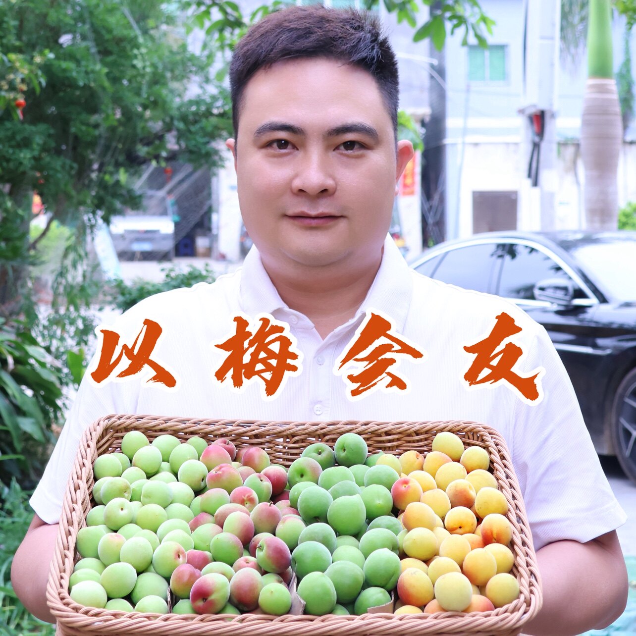 【特惠专属】诏安新鲜青梅小白梅熟黄梅胭脂梅泡酒酵素鲜果5斤装