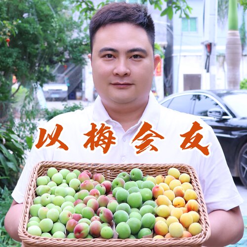 【官方推荐】精选高山青梅大果